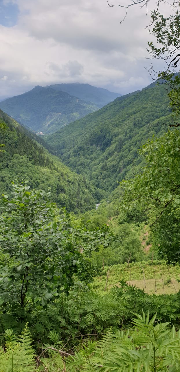 Ущелье Мачахела, Горная Аджария, Батуми, Грузия